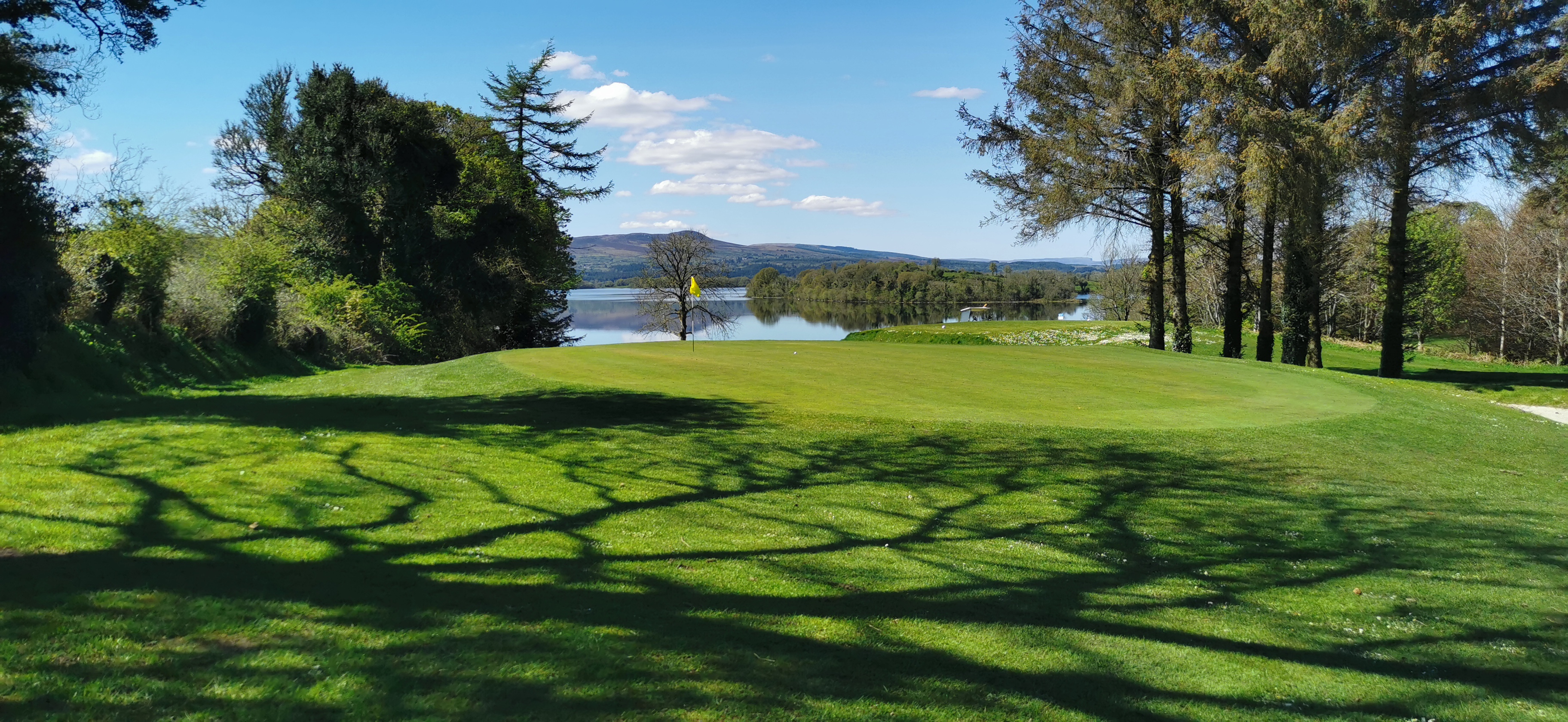 The Usual Please course view